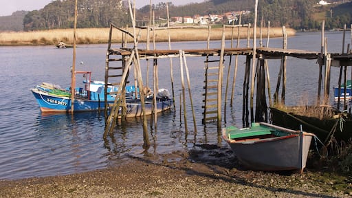 سوتو ديل باركو