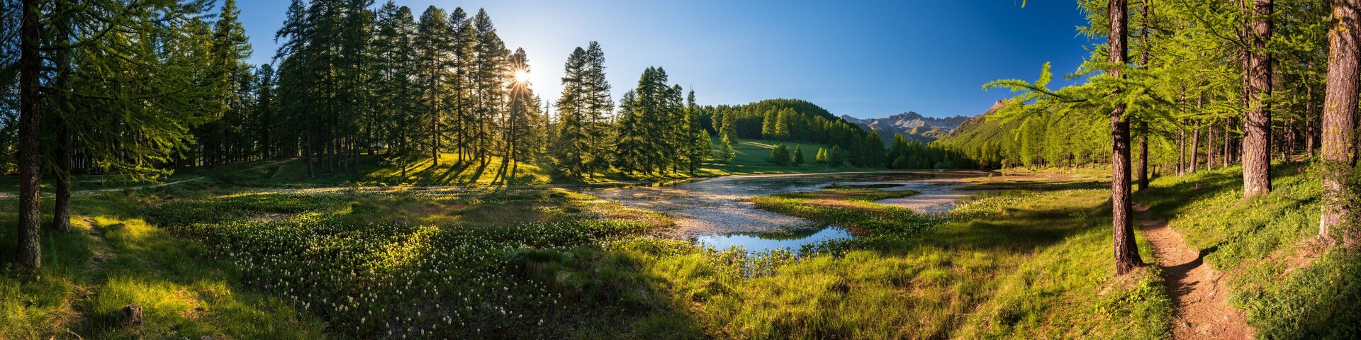 Un paisaje boscoso con un río, montañas al fondo y cielo despejado.