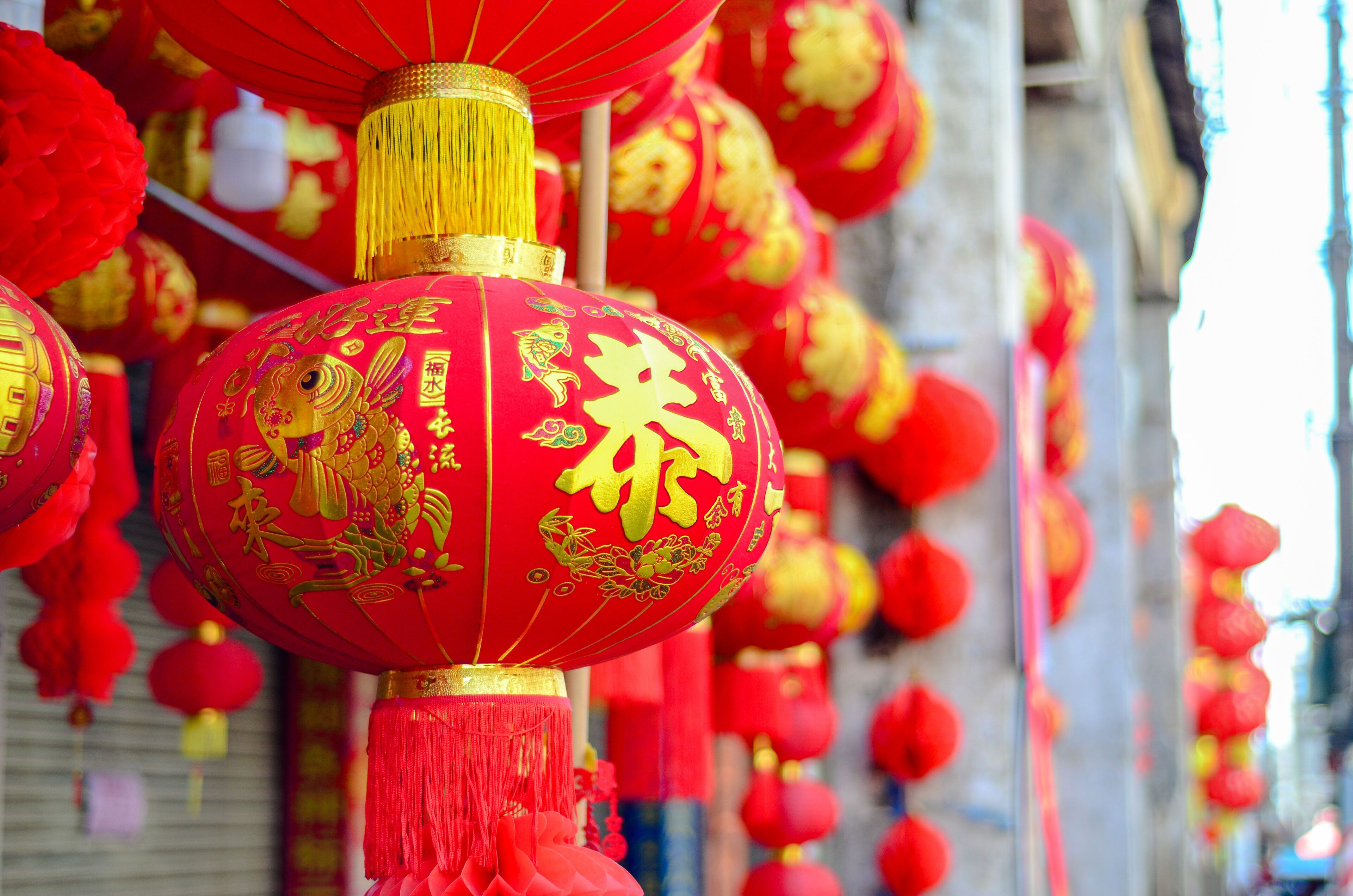 The traditional Chinese red lanterns hanging for the Lunar New Year. Year of the Dragon.