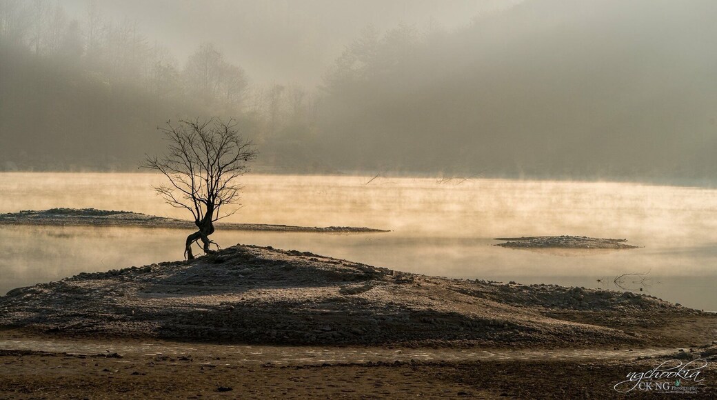 Stand Alone II Huizhou-China
"人生過客匆匆,相機抓住每個剎那,與我擦肩而過的人和事"