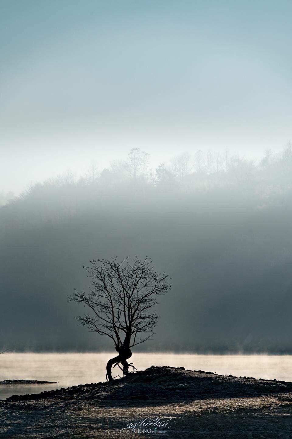 Stand Alone II Huizhou-China
如果我知道如何拍出好照片，我每次都会拍出好照片了。