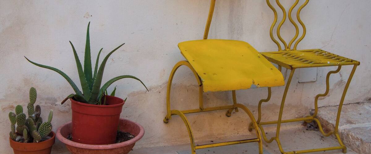 A yellow metal chair with a damaged seat and backrest, a potted aloe vera plant, and a potted cactus against a plain wall.