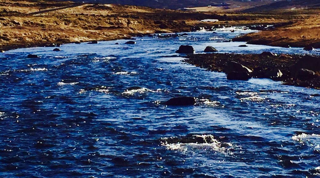 I sat here for what seemed like hours - right at the bank, listening to the water.