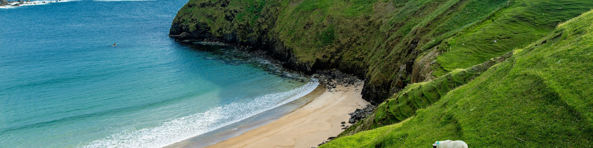 Sheep grazing near Silver Strand, a sandy beach in a sheltered,