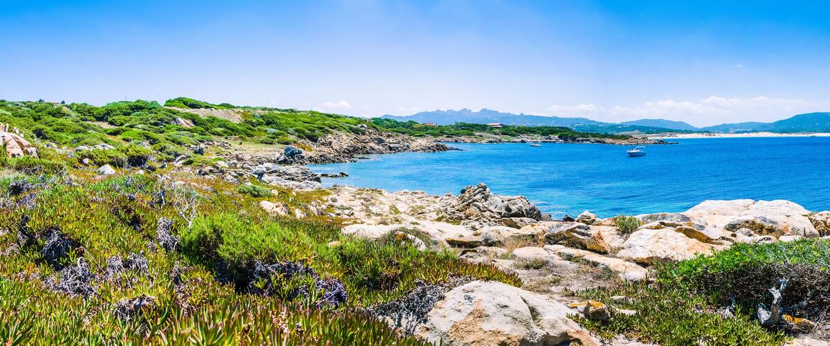 A rocky coastline with clear blue sea, green vegetation, and distant mountains.