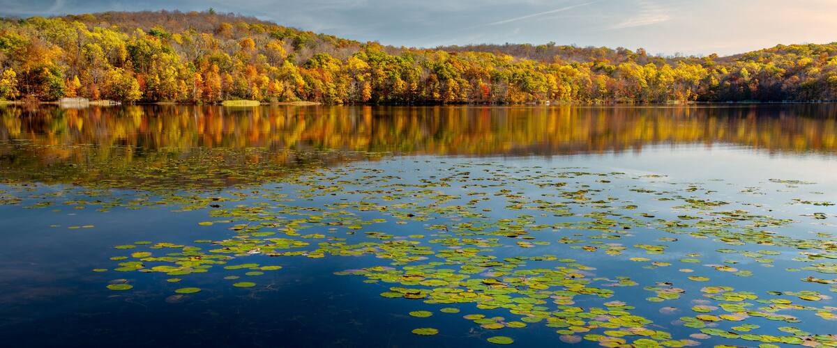 Colorful autumn foliage reflected in Sheppard Pond, Ringwood State Park, New Jersey