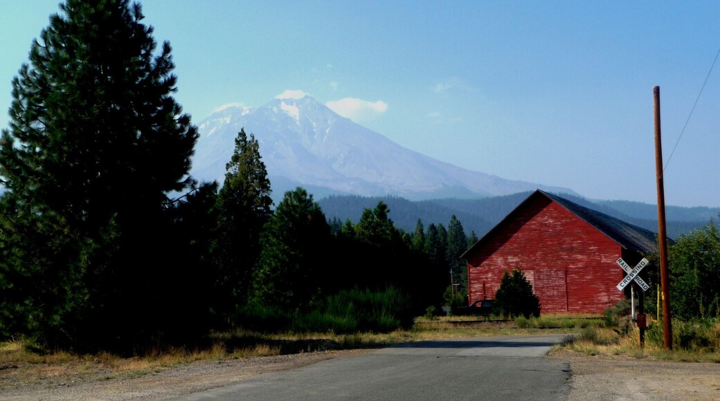 View on Mount Shasta slightly obscured by wildfire smoke.
For more pictures of McCloud and Mount Shasta, check out the photo essay on my blog:
http://thebrittertruth.blogspot.com/2015/09/mccloud-ca-weekend-getaway-photo-essay.html
#weekendgetaway #roadtrip #nature