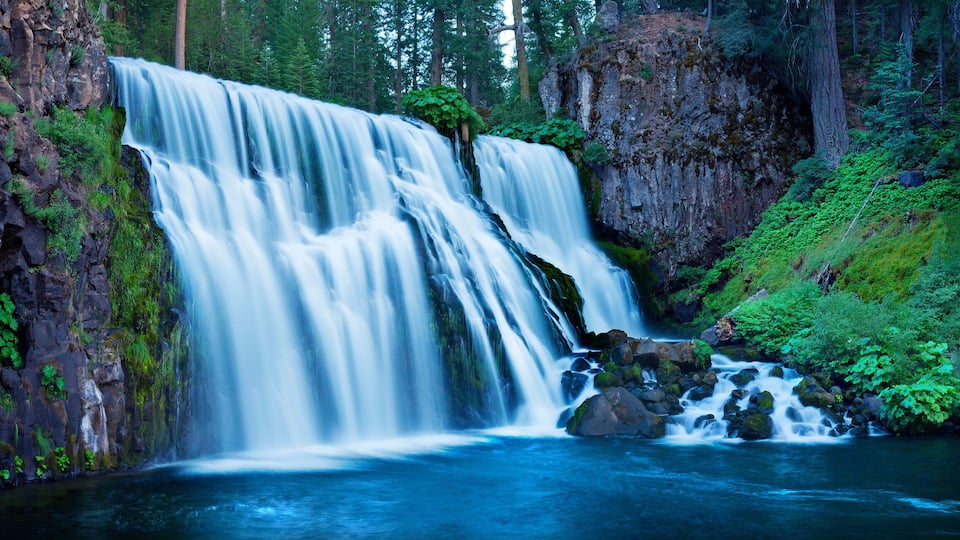 A waterfall cascading over rocks in a forested area.