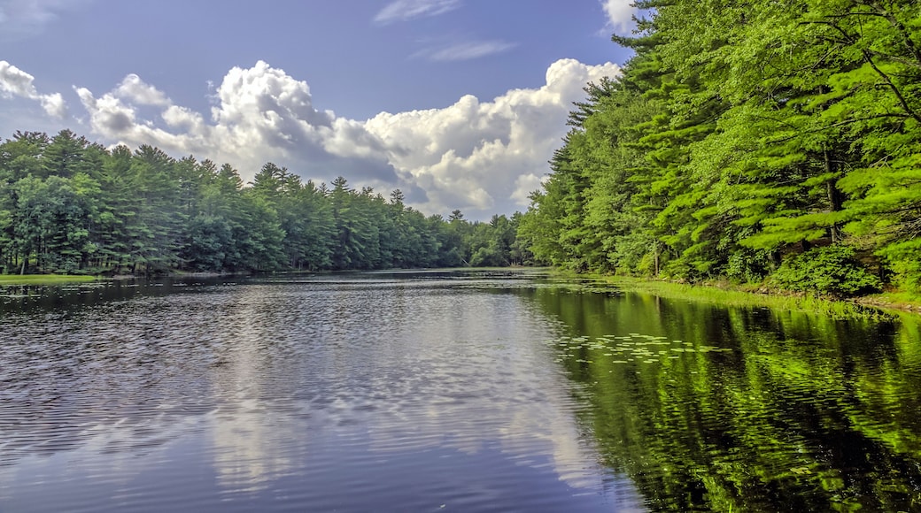 Silver Lake in Sullivan County