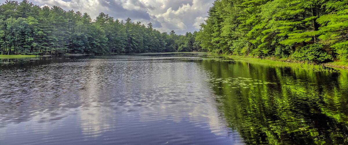 A calm lake surrounded by dense green forest under a partly cloudy sky.