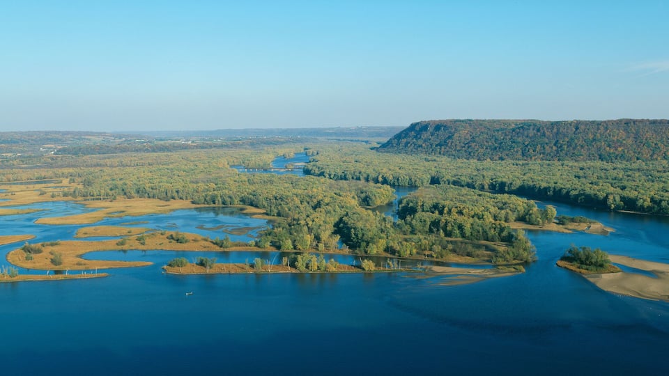 A river winding through a forested landscape with a prominent hill in the background.