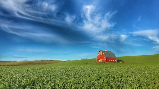 The Palouse