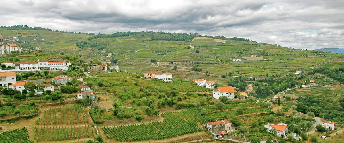 A rural landscape with terraced vineyards, white houses with red roofs, and a church on a hill.