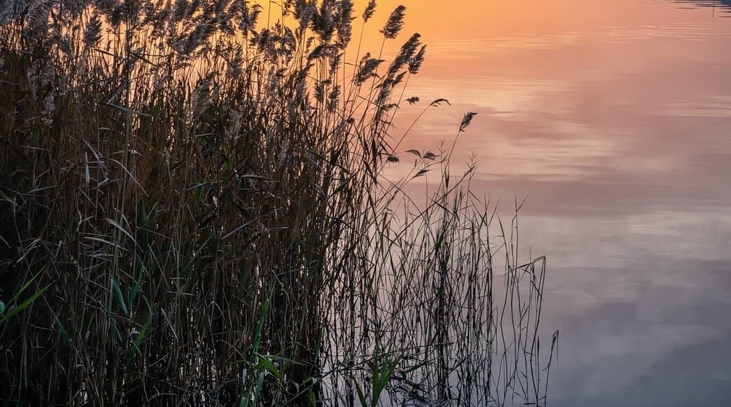 Sunrise by the Douro River.