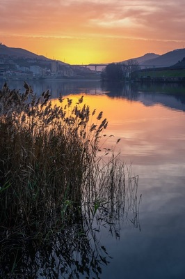 Sunrise by the Douro River.