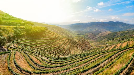 بيسو دا ريجوا