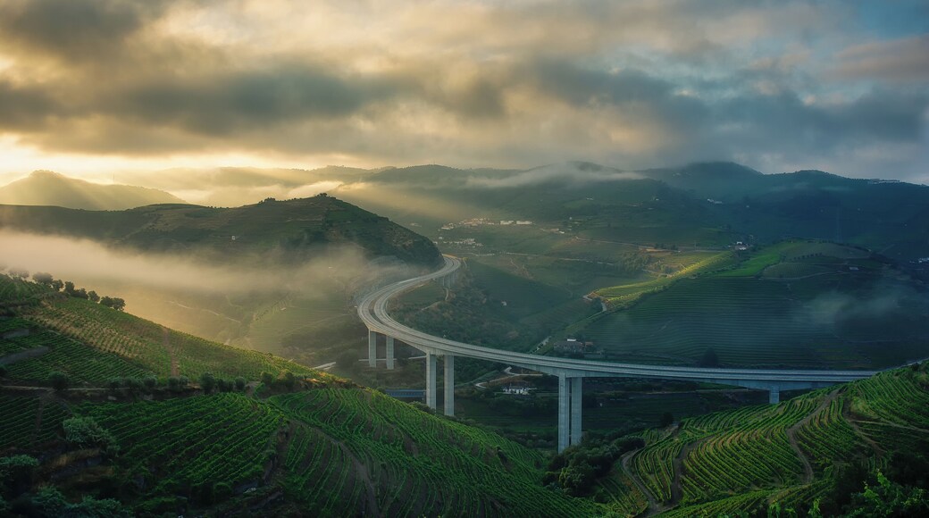 Misty sunrise overlooking the Douro Valley’s vineyards.
Portugal, land of breath-taking views, welcoming people and flavoursome experiences.
Desert beaches, crowded and modern cities with glamourous beaches, old buildings, new and fancy ones, food, wine, Port, and so much. We’ve got it all, you're the only one missing, hurry up!