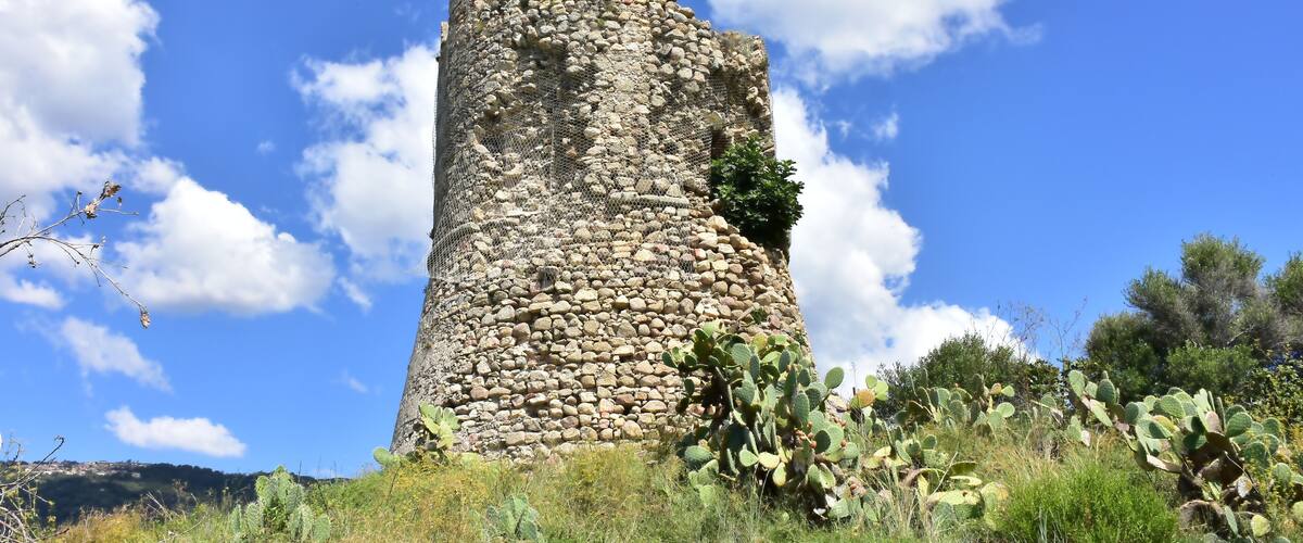 A stone tower with a mesh covering, surrounded by cacti and greenery under a clear blue sky.