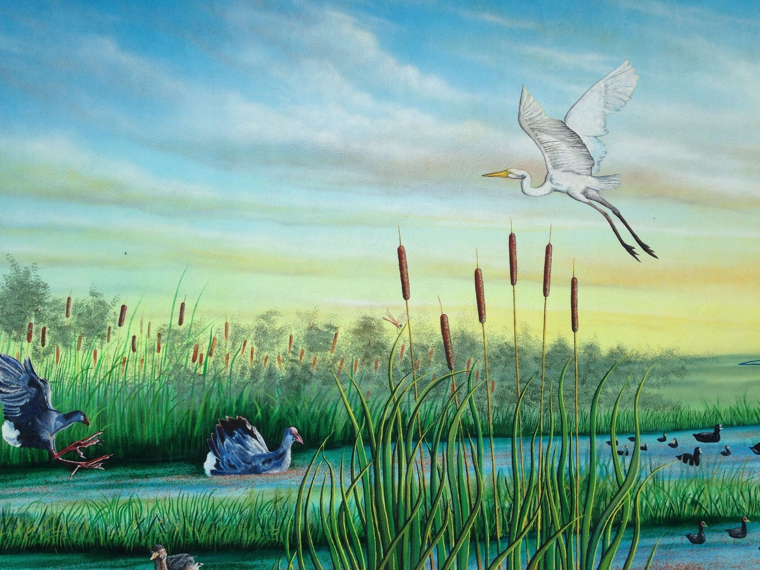 Stop for lunch at a park that a beautiful 100 foot mural and this was just a segment of the artwork. Traveling to San Calaganone to the Aquarium.