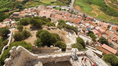 An aerial view of an ancient archaeological site with ruins and modern buildings.