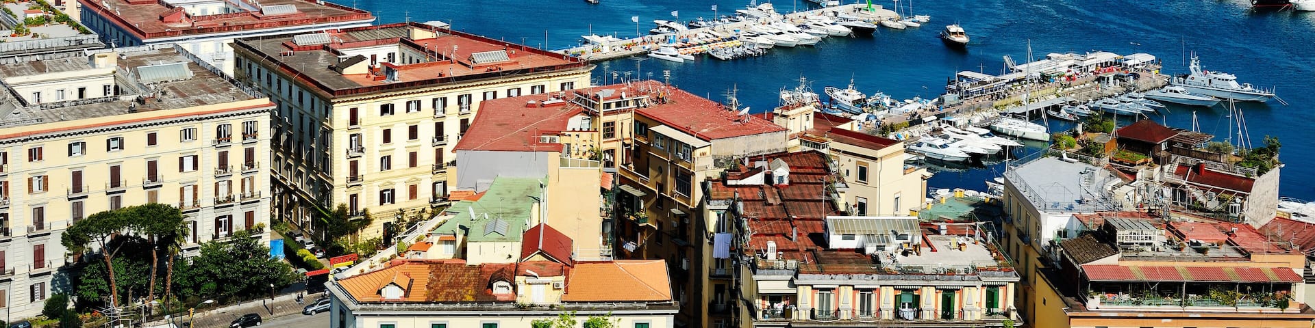 A coastal city with a marina, historic buildings, and a mountain in the background.