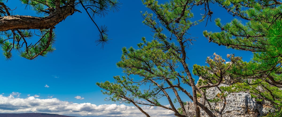 A rocky mountain landscape with pine trees and a clear blue sky.