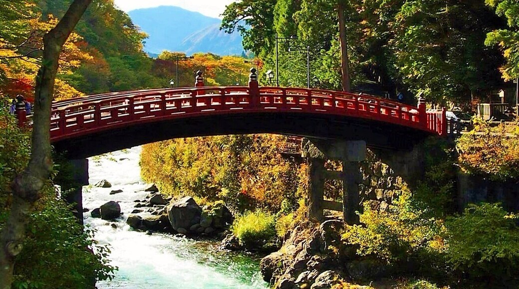 Wandered around the city