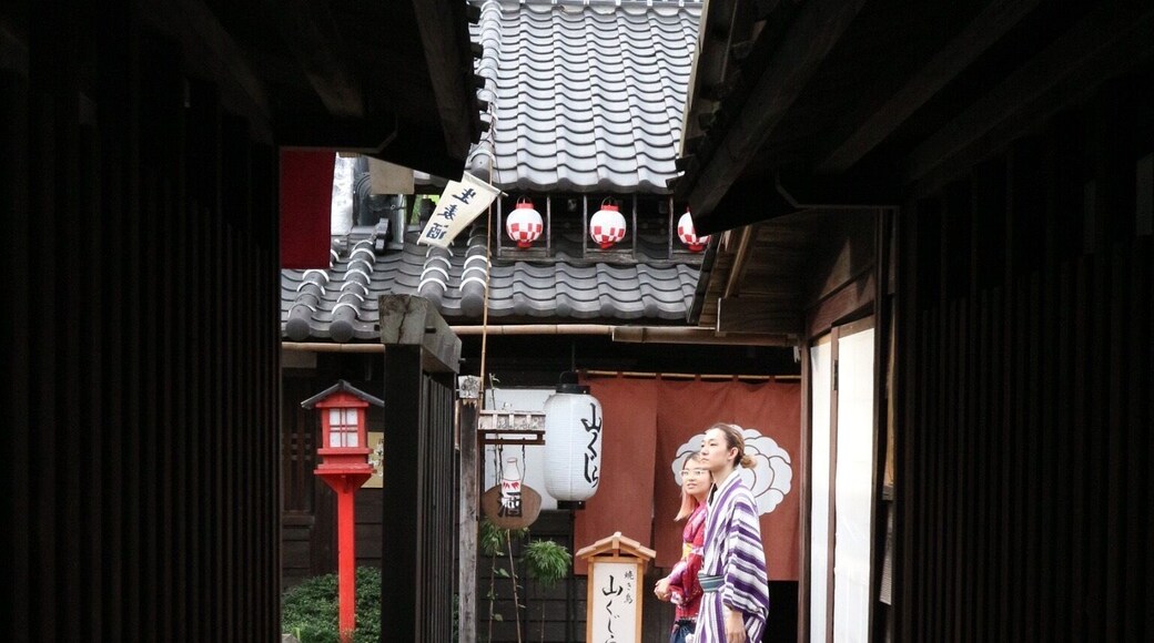 Great place to experience Japanese Culture and slip back 300 years into Edo period with Samurai & Ninjas roaming the streets.