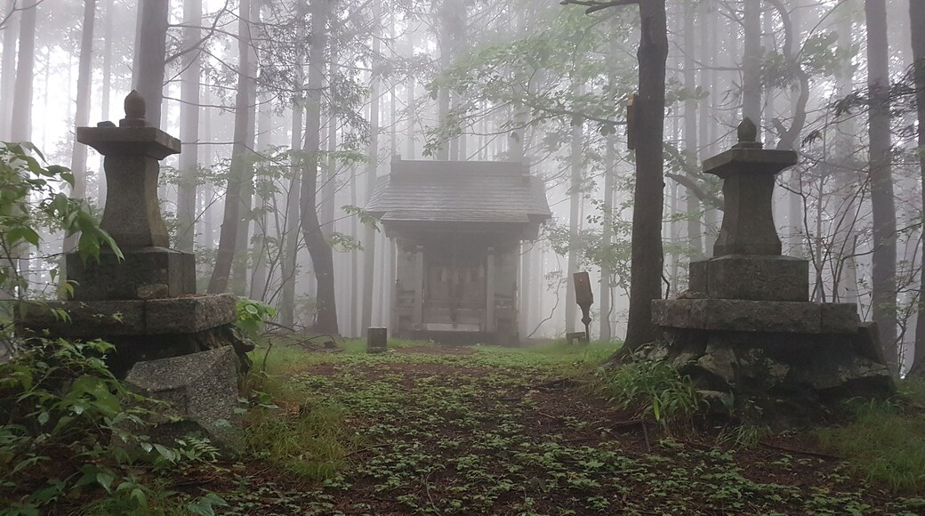 At the top of Mt. Sasamekurayama after a difficult offtrail climb, I was greeted by this wonderful temple with sudden fog and heavy rain! The atmosphere was surreal and I felt just like in a movie...
#japan #nikko #sasamekurayama #climbing #montain #offtrail #fog #heavy #rain #temple