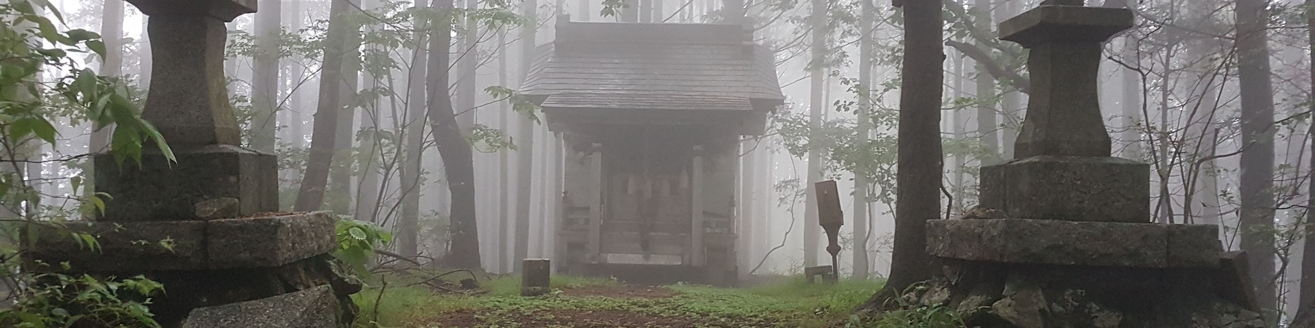 At the top of Mt. Sasamekurayama after a difficult offtrail climb, I was greeted by this wonderful temple with sudden fog and heavy rain! The atmosphere was surreal and I felt just like in a movie...
#japan #nikko #sasamekurayama #climbing #montain #offtrail #fog #heavy #rain #temple