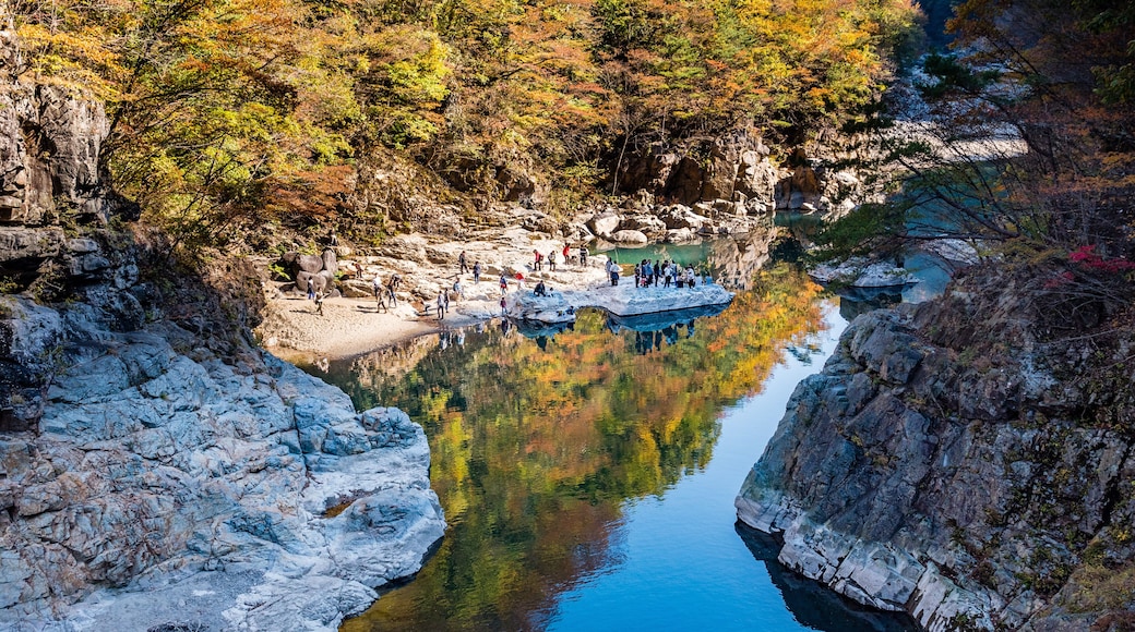 Perficet autumn season of Ryuokyo Canyon, Kinugawa Onsen Japan