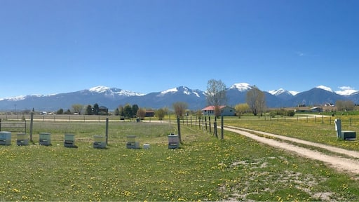 A magnificent view of Bitterroot Valley from our front window. Notice the bee hives in the lower front left. Clean air, quiet area.
#Montana #outdoors
#bitterroot
(May 1017)
