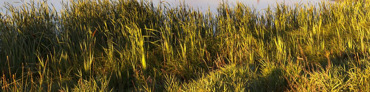 Scenic view of Bitterroot Valley during sunrise