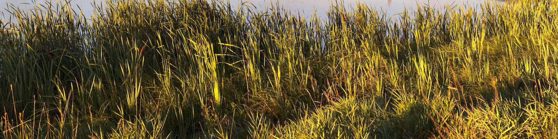 Scenic view of Bitterroot Valley during sunrise
