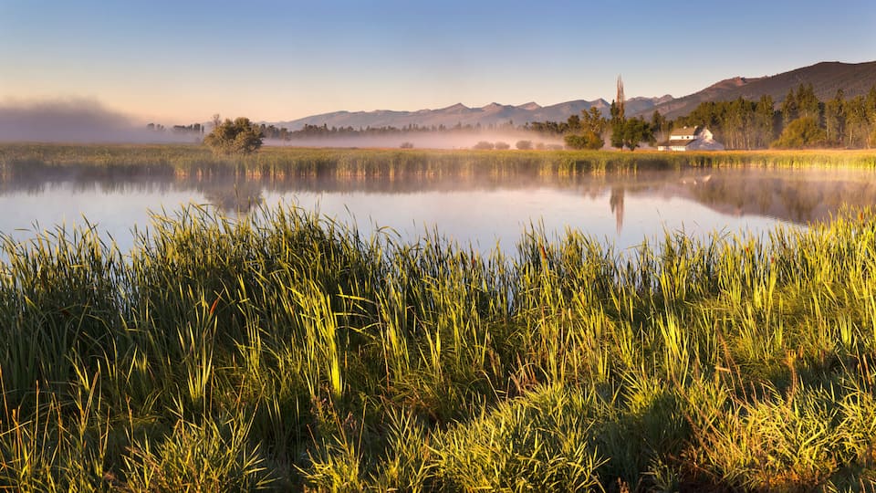 A calm lake with tall grasses in the foreground, mist over the water, and a mountain range in the background.