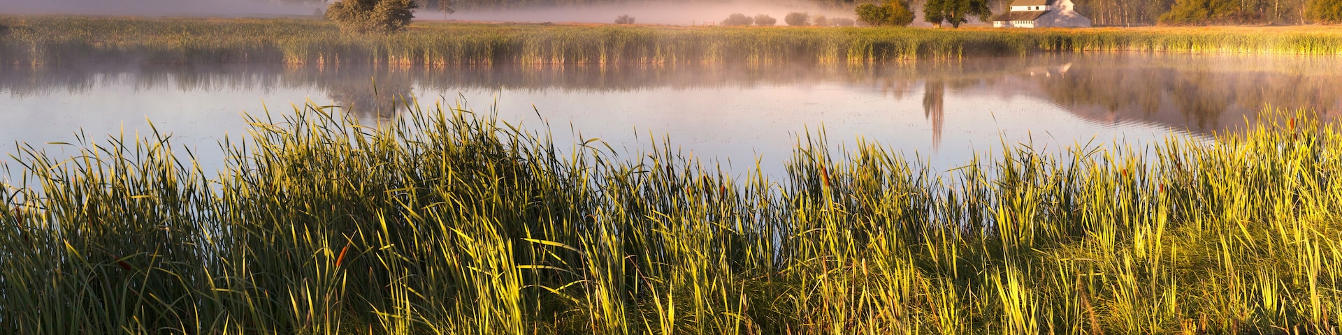 A calm lake with tall grasses in the foreground, mist over the water, and a mountain range in the background.