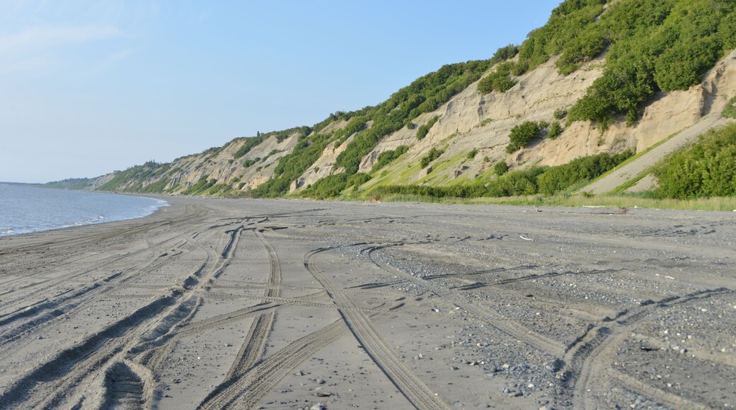 A very long beach with lots of people commercially fishing for Sockeye Salmon. A nice little State Park to camp for the night.
#alaska #inlet #camping