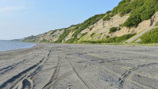 A very long beach with lots of people commercially fishing for Sockeye Salmon. A nice little State Park to camp for the night.
#alaska #inlet #camping