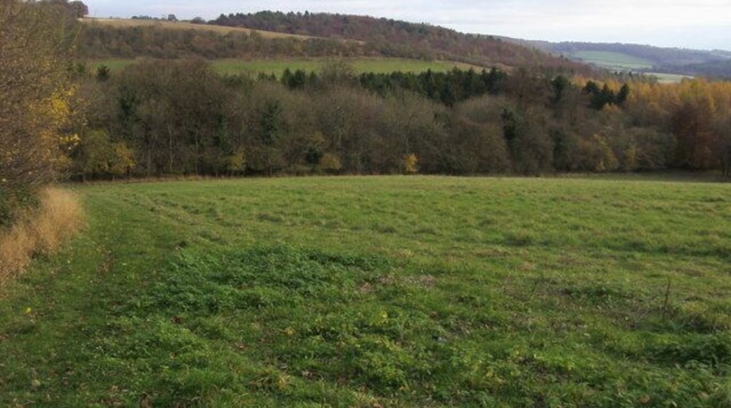 Footpath to Twigside Bottom Footpath heading down the hillside to Twigside Bottom
