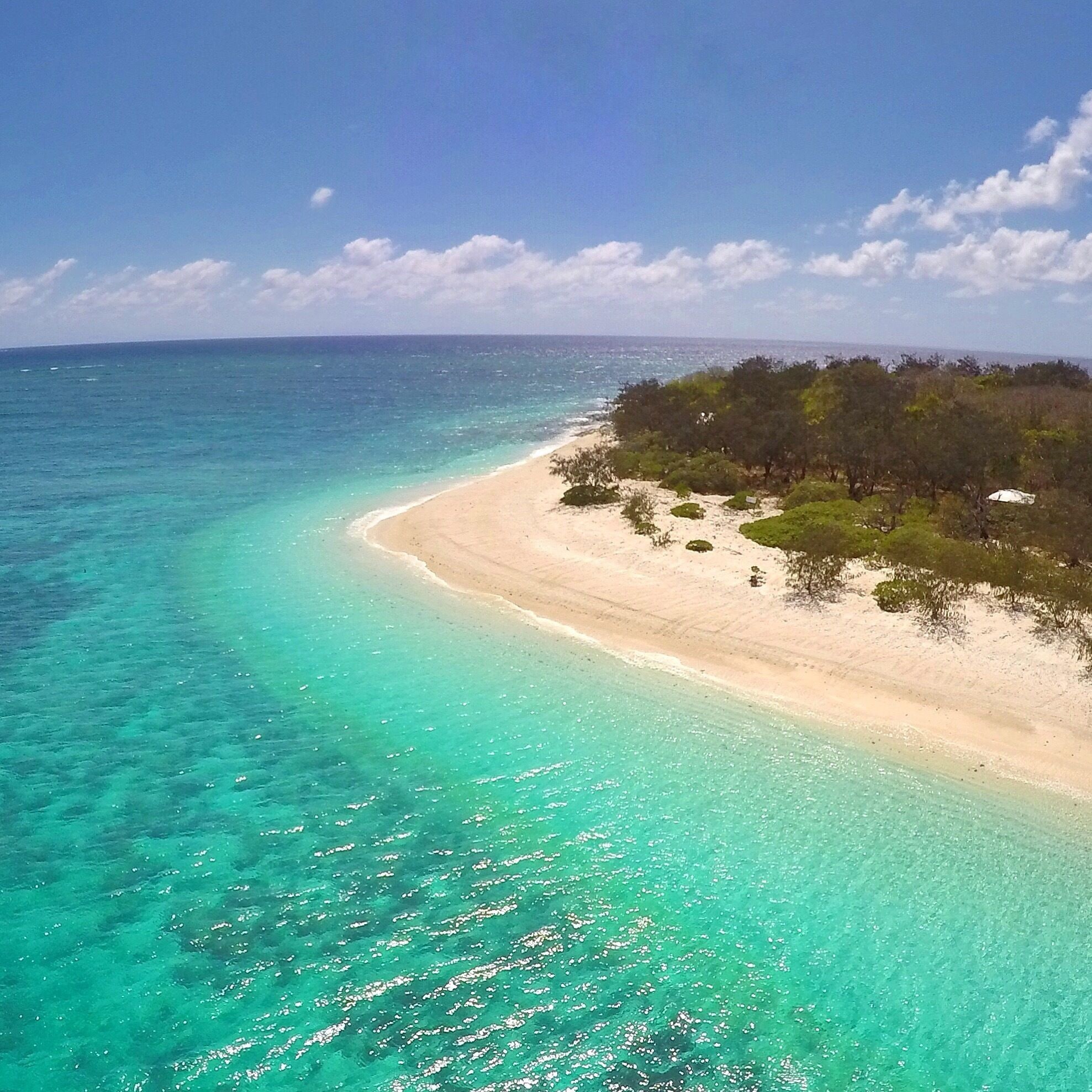 Only a few weeks to go until @pocruises start arriving here in the @gladstoneregion and doing day trips to the stunning Wilson Island! ☀️🐟🐢🌴😀
#gladstoneregion #thisisqueensland #seeaustralia #GoProANZ #fly3dr 