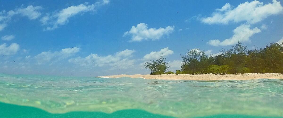 Everyday feels like a Friday here on Wilson Island! ☀️🐠🐟🌴😀
#gladstoneregion #wilsonisland #GoProANZ #thisisqueensland #seeaustralia #curtisferryservices