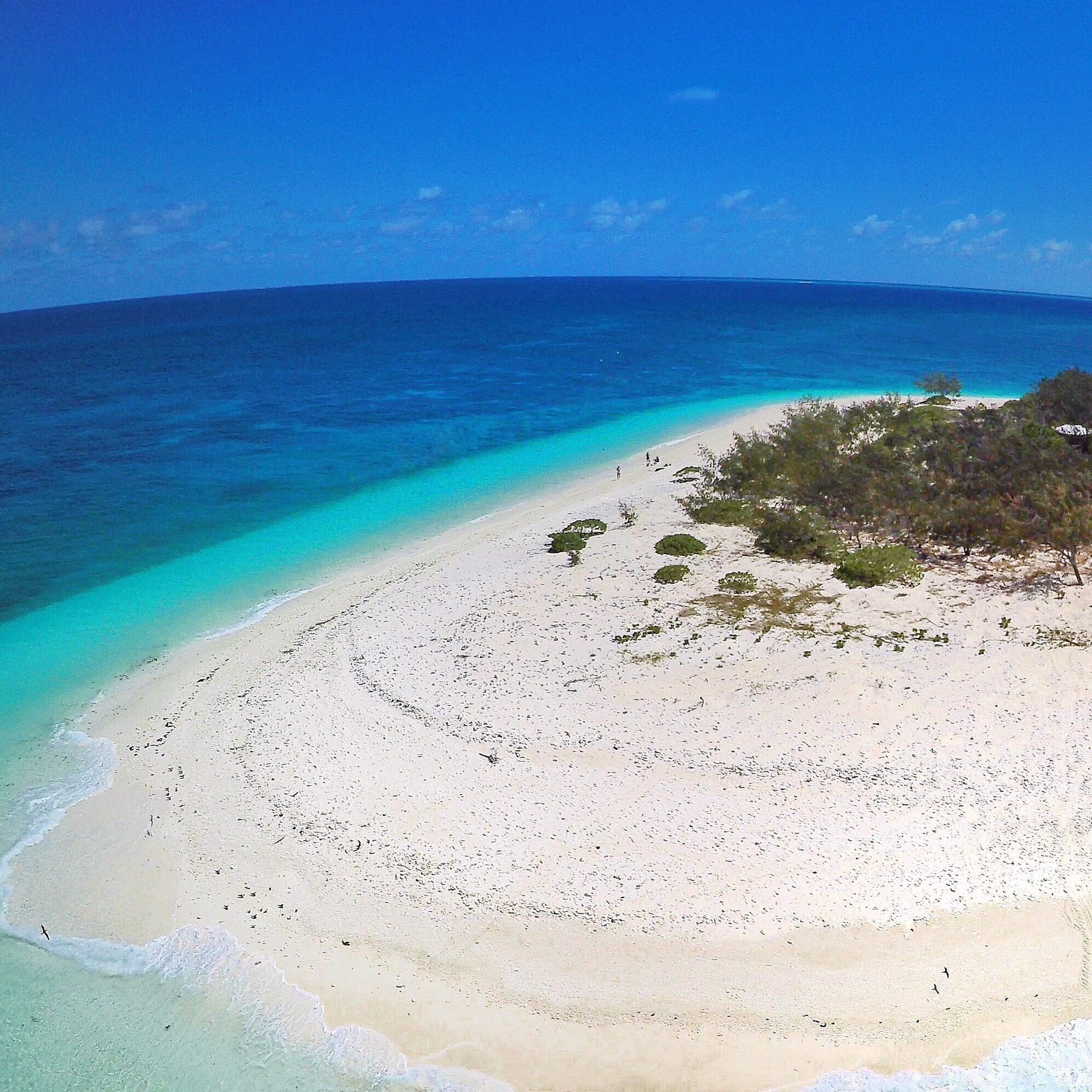 Wilson Island on the Great Barrier Reef. Perfect place for a weekend escape! ☀️🐟🐠🌴😀
#GoProANZ #fly3dr #lovethereef #thisisqueensland #seeaustralia #likenoplaceonearth #Blue