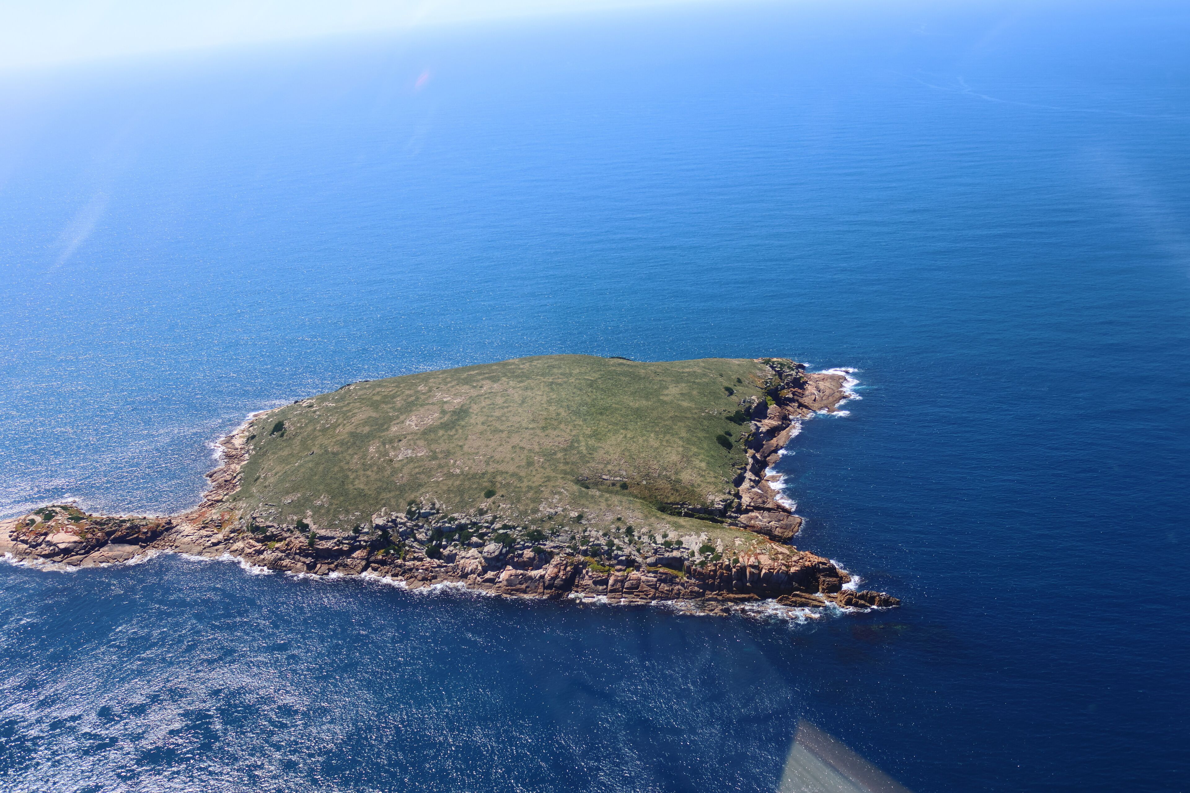 Isla de Wilson