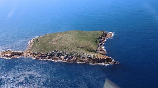 Isla de Wilson