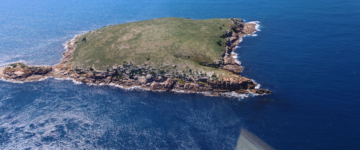 An aerial view of a small island with a grassy center and rocky edges, surrounded by deep blue ocean.