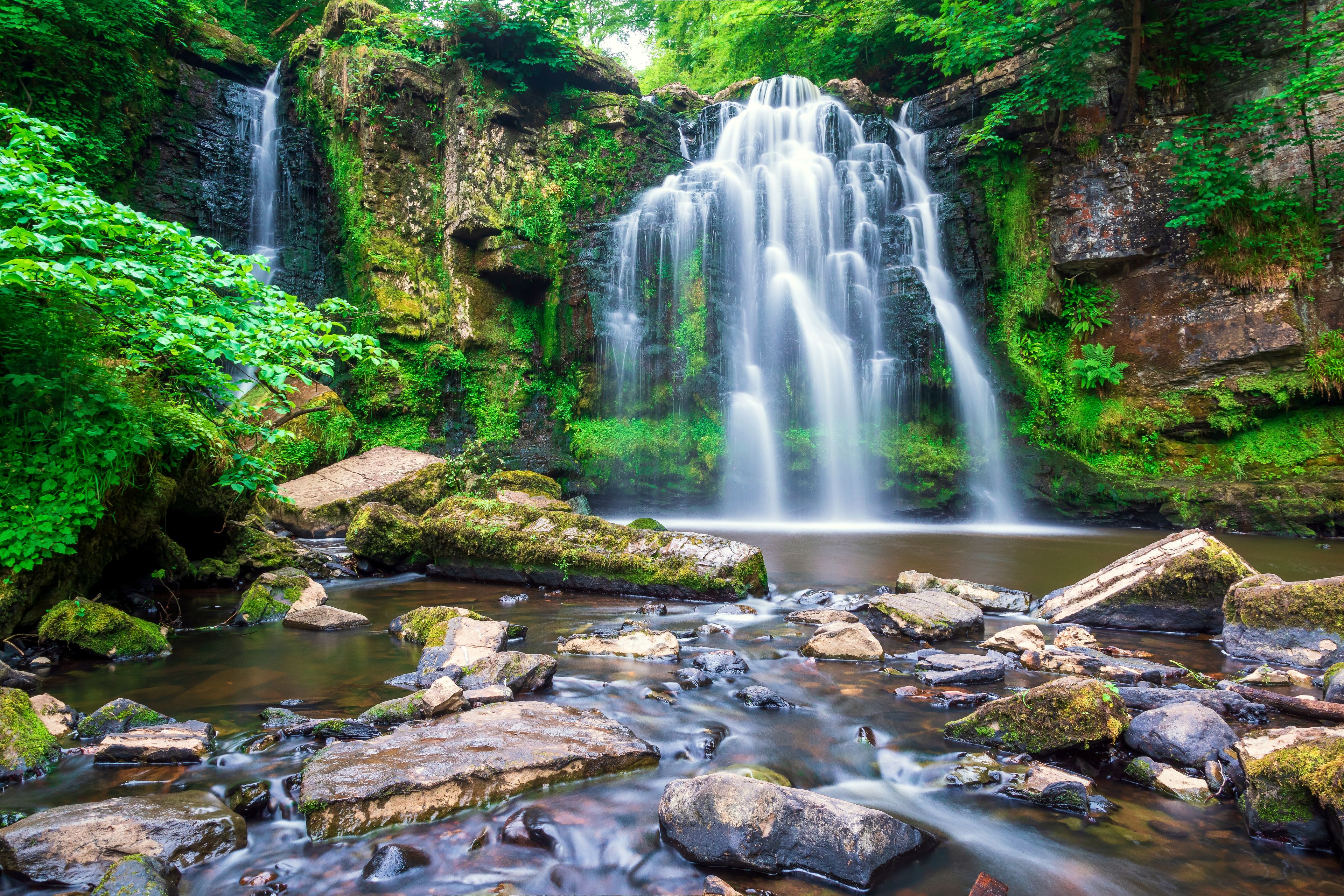 Una cascada verde exuberante se precipita sobre rocas cubiertas de musgo hacia una poza tranquila rodeada de follaje denso.