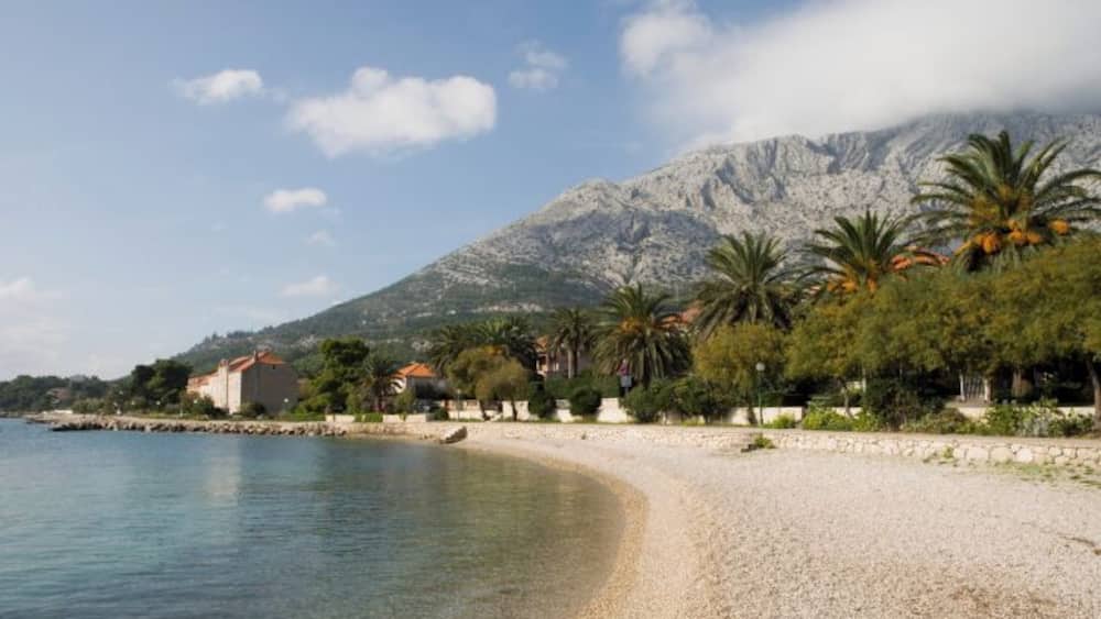 Croatia, Dalmation Coast, Orebi, houses and palm tres along waterfront