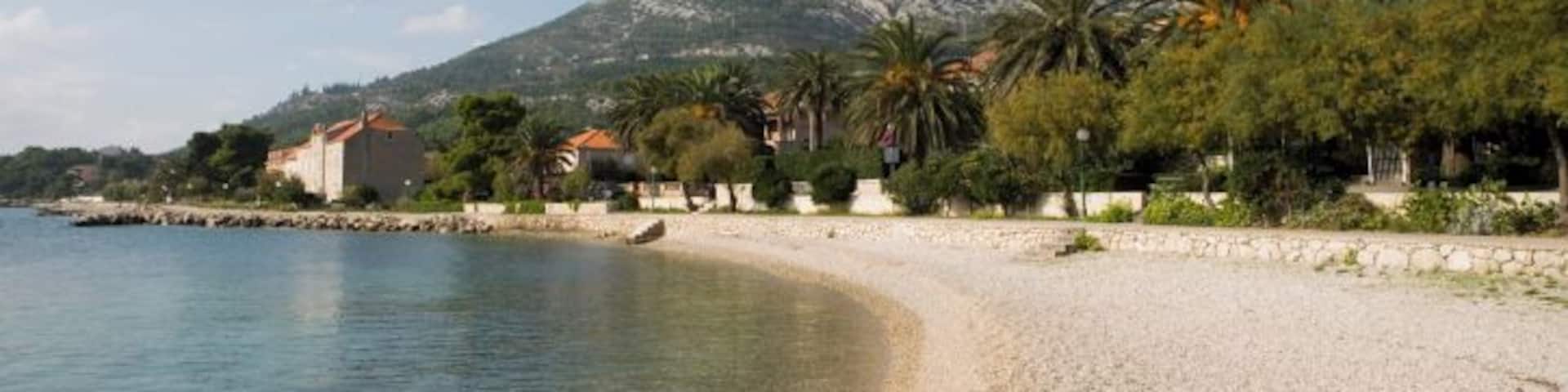 Croatia, Dalmation Coast, Orebi, houses and palm tres along waterfront