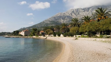 Croatia, Dalmation Coast, Orebi, houses and palm tres along waterfront