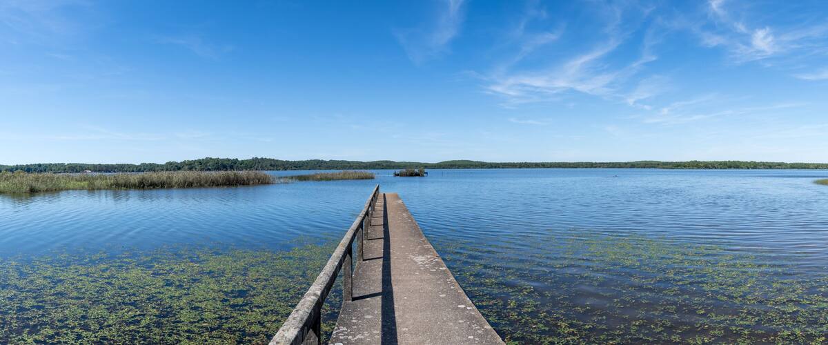 A calm lake with a wooden pier extending into the water, surrounded by marshland and a distant tree-covered shoreline.